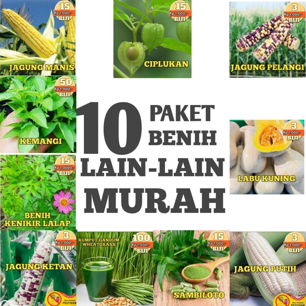 BIBIT BIJI BENIH JAGUNG MANIS PELANGI PUTIH HITAM PULUT KETAN KENIKIR LALAP CIPLUKAN CECENDET LABU B