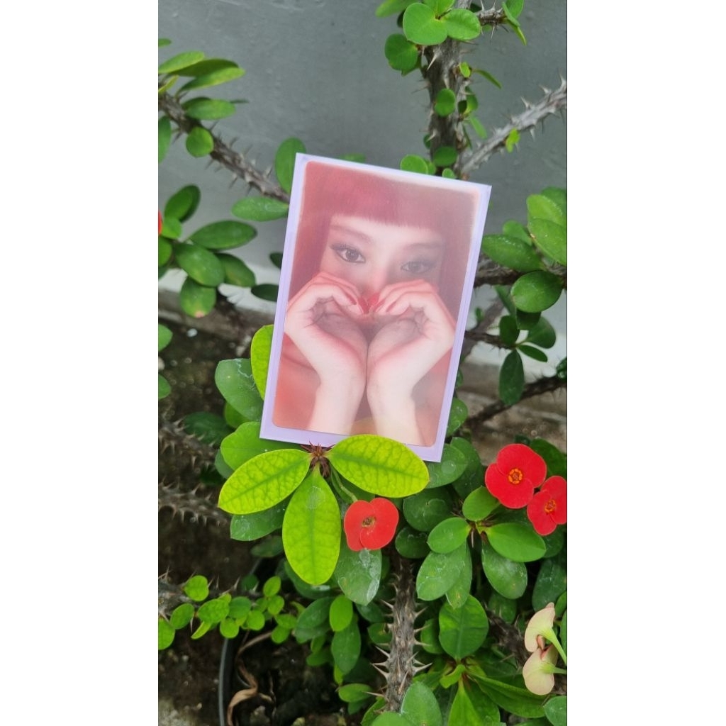 photocard official JENNIE