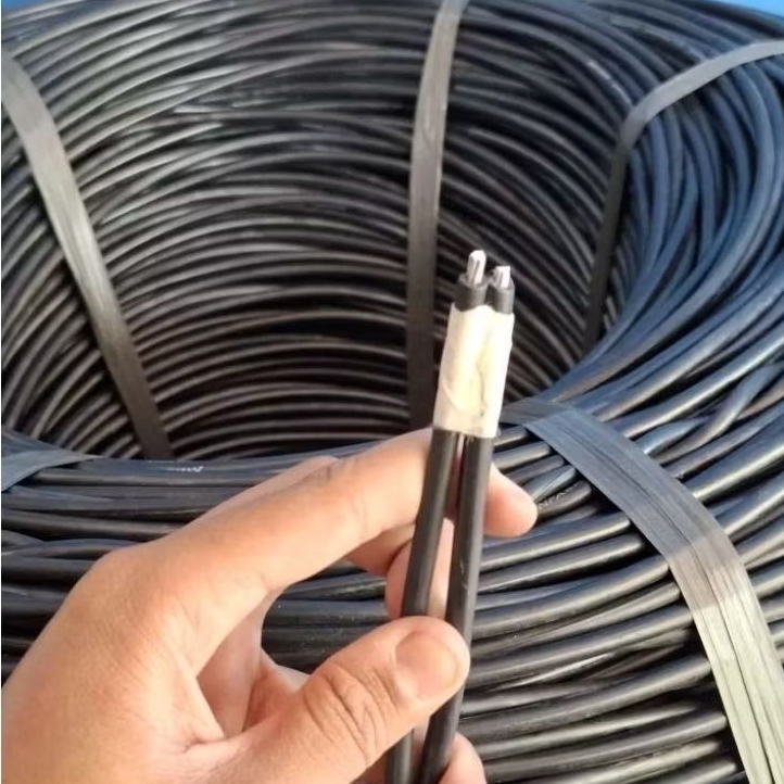 Kabel TIC NFA2X 2×10MM/Kabel SR 2×10MM/Kabel Twisted/kabel PLN 2×10MM