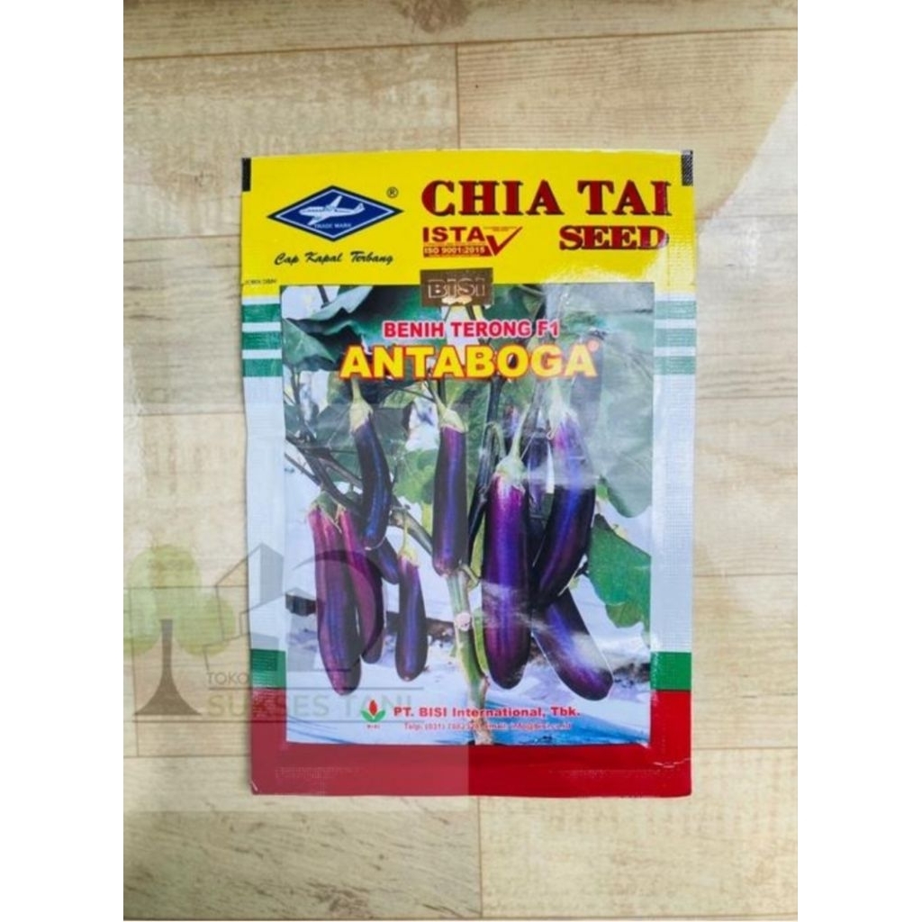 400 Biji Terong Ungu Antaboga Cap Kapal Terbang Kualitas Terbaik