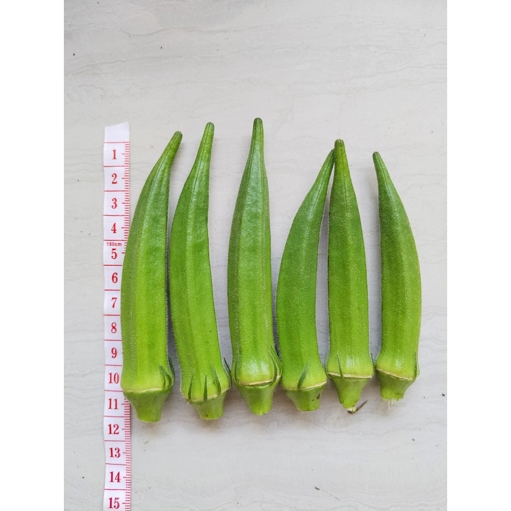 Baby Okra Hijau Fresh 1 kg