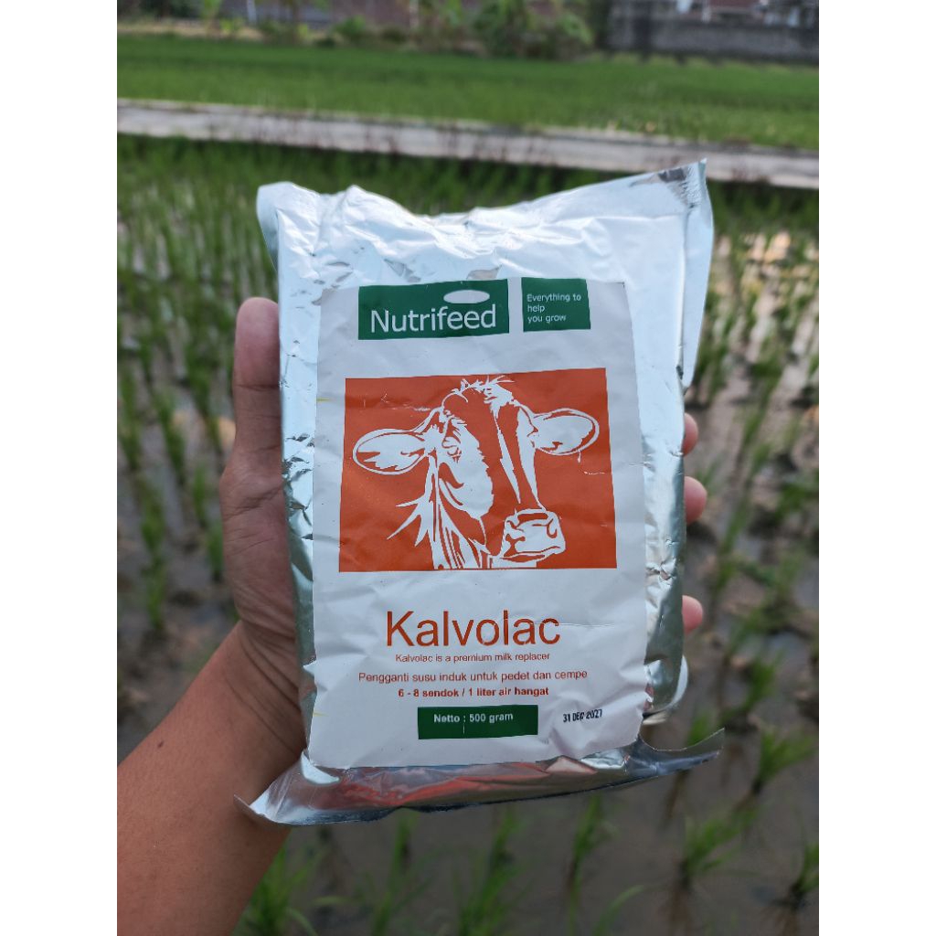 susu kalvolac 500 gram-susu pengganti untuk hewan ternak