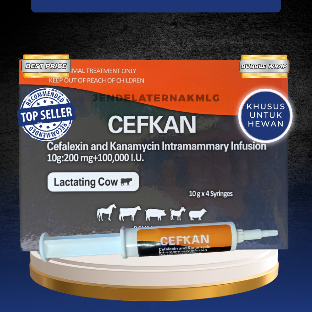 CEFKAN 10 ML - Pengobatan Mastitis Klinis Pada Sapi Perah Menyusui.