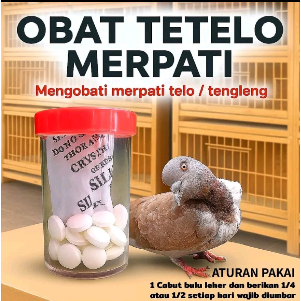 OBAT MERPATI TELO MERPATI SEMBUH 100%,MERPATI TENGLENG ISI 25 BUTIR MANJUR TERBUKTI