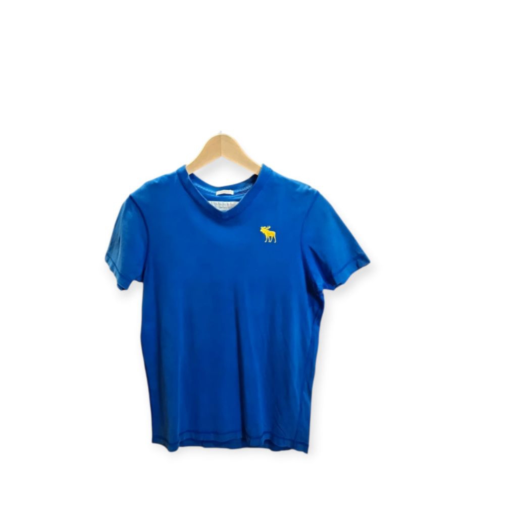 Abercrombie & Fitch Blue Polo T-shrit