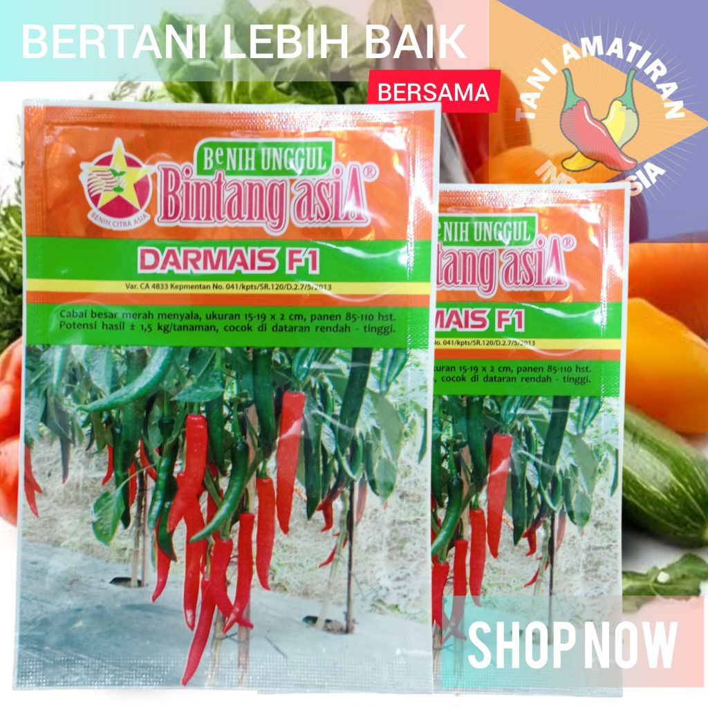DARMAIS F1 Benih Cabe Besar Hibrida 10gr
