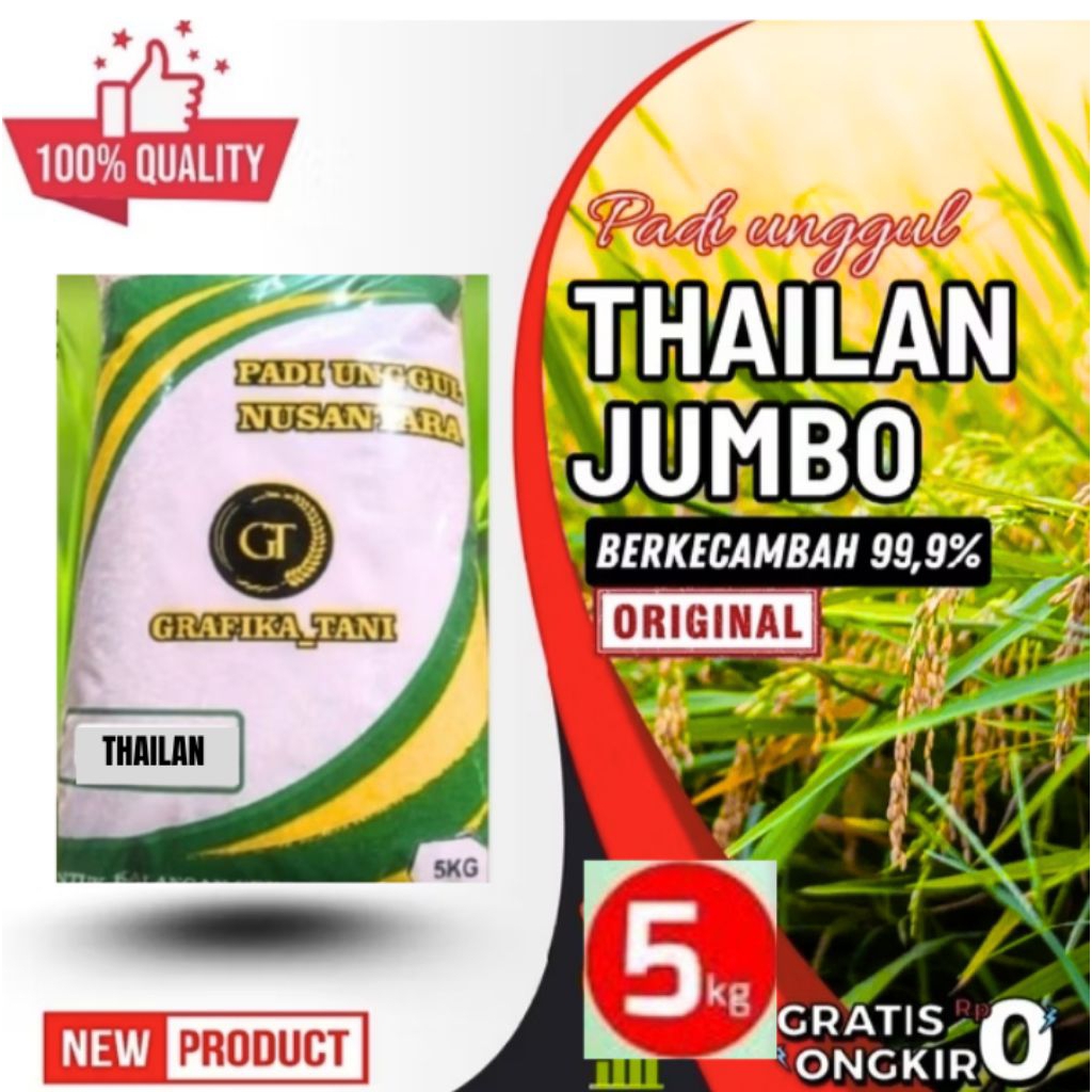 benih padi Thailand jumbo 5kg