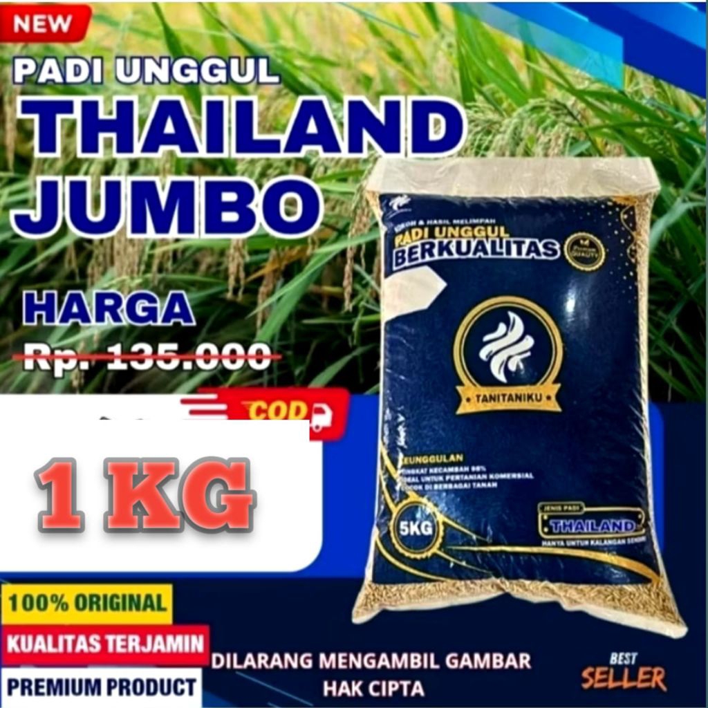 BENIH PADI UNGGUL BERKUALITAS ( THAILAND JUMBO)
