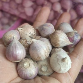 Bawang Putih Tunggal/Bawang Lanang/Bawang Tunggal 1KG Termurah