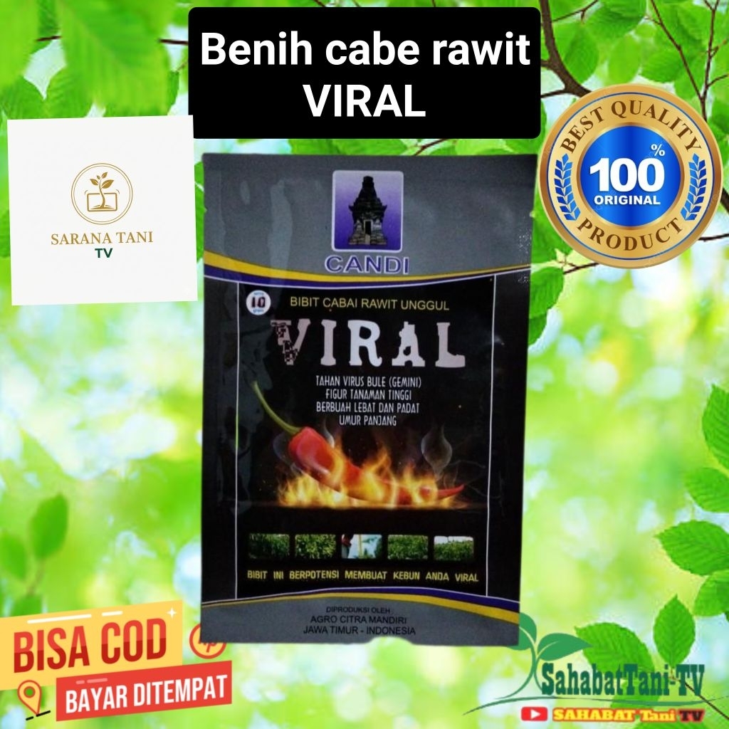 Benih Cabe VIRAL 10GR original 100% Amanah & terpercaya