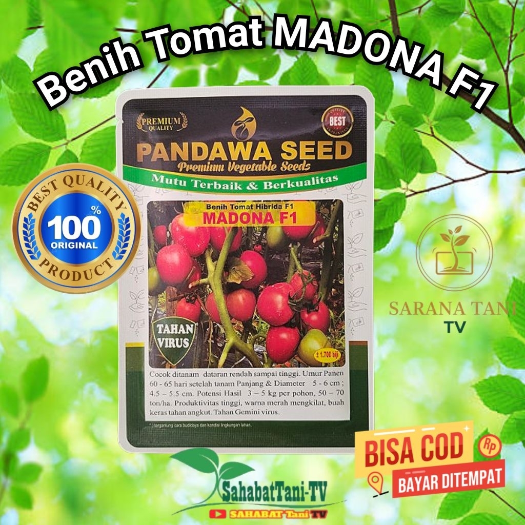 Benih Tomat MADONA F1 5 gr, original 100% jenis tomat sayur terbaik di kelasnya sangat disukai di pa