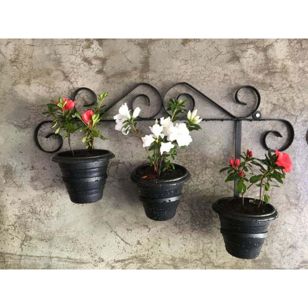 rak bunga rak tanaman hias rak kembang rak pot