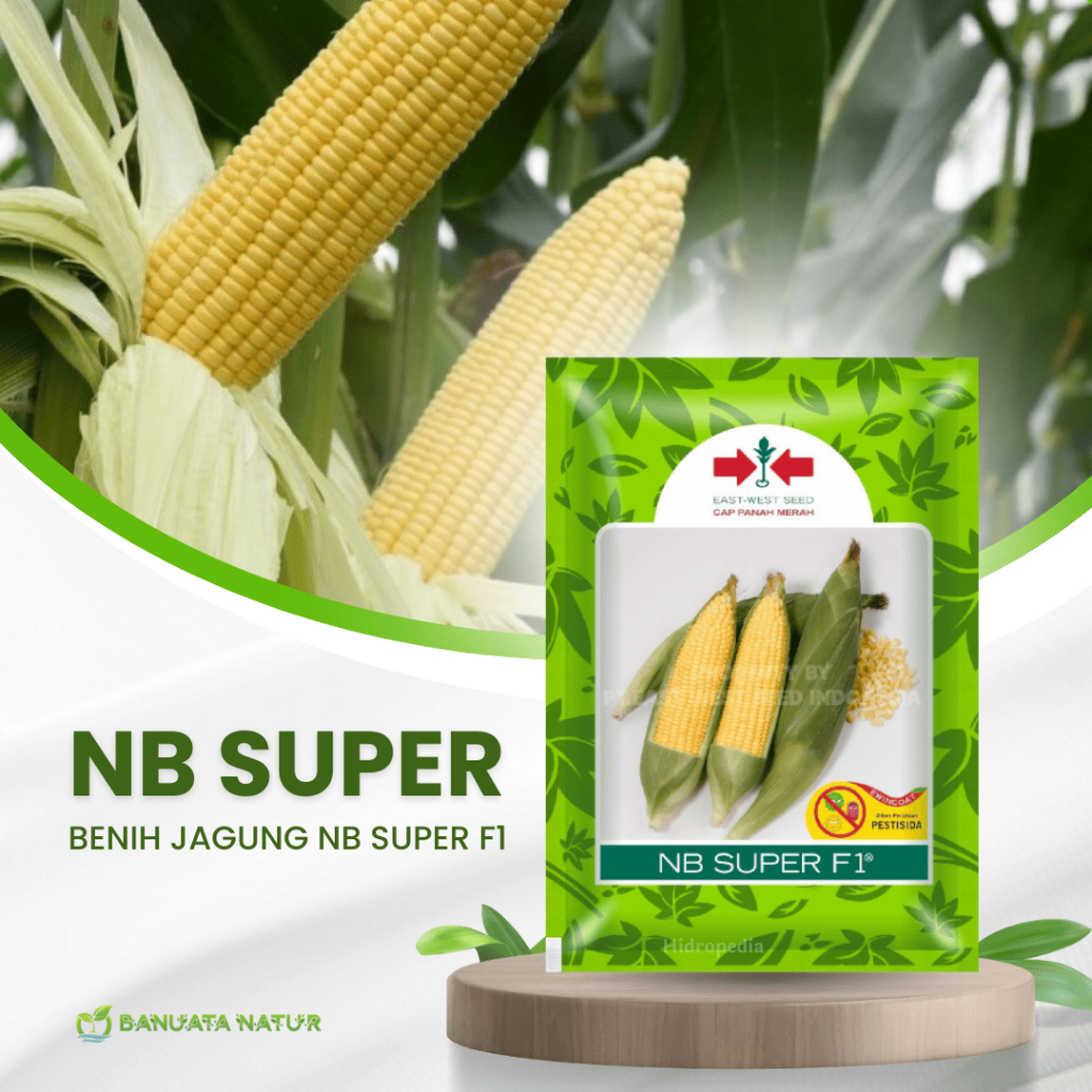 Benih Bibit Jagung Manis NB Superc-1 Panah Merah  - Berkualitas Banuata