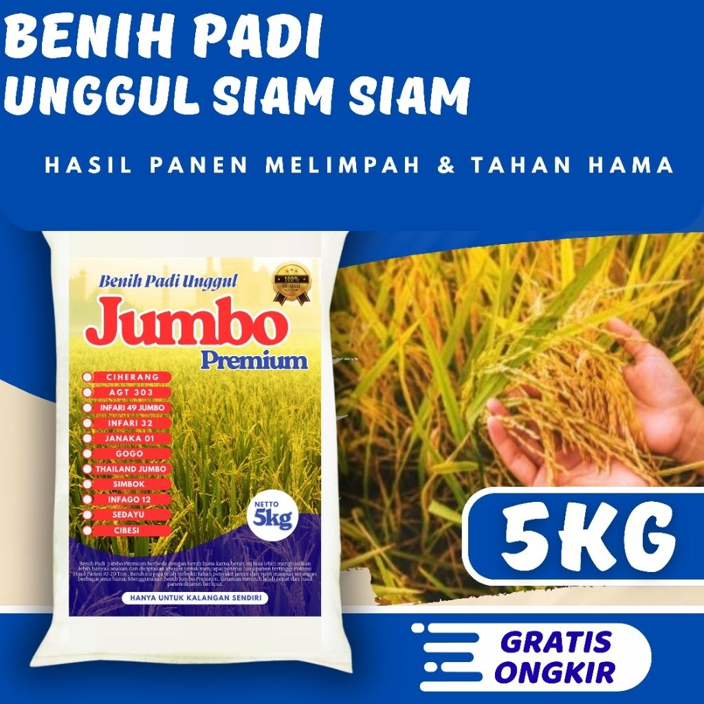 Padi Unggul Siam Siam 5kg