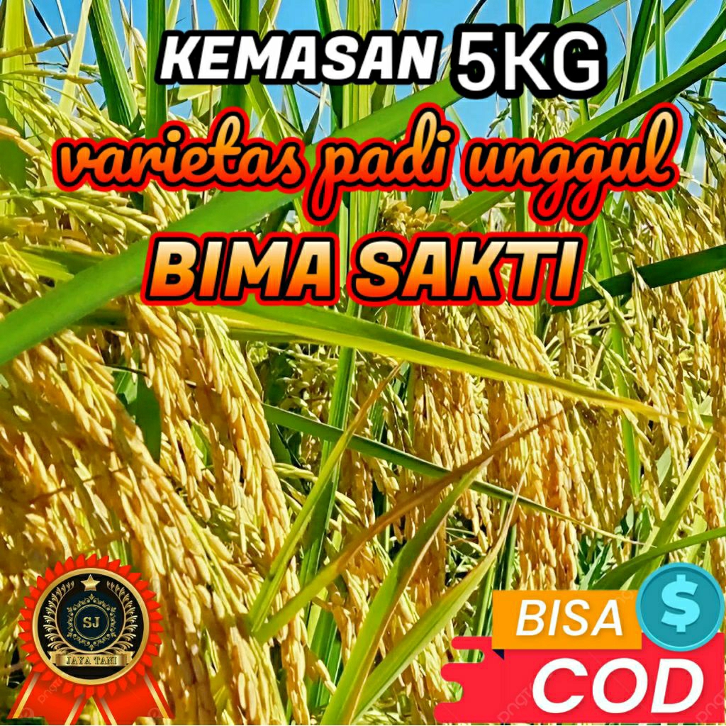 BENIIH BIBIT PADI (BIMA SAKTI) KEMASAN 5KG ORIGINAL