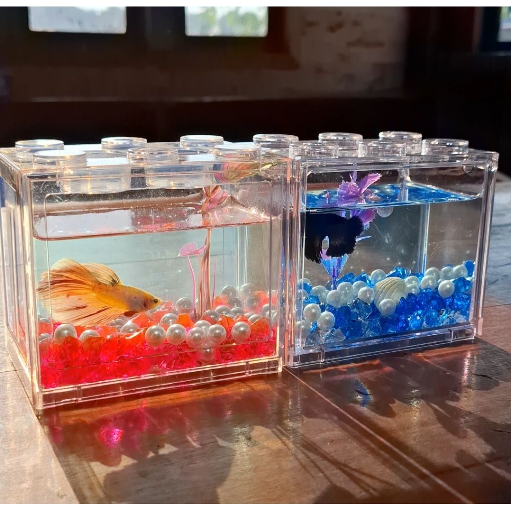 AQUARIUM MINI AKRILIK