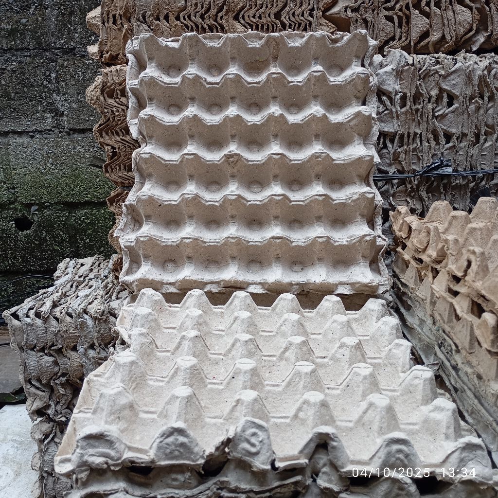 tray telur bekas bagus 08