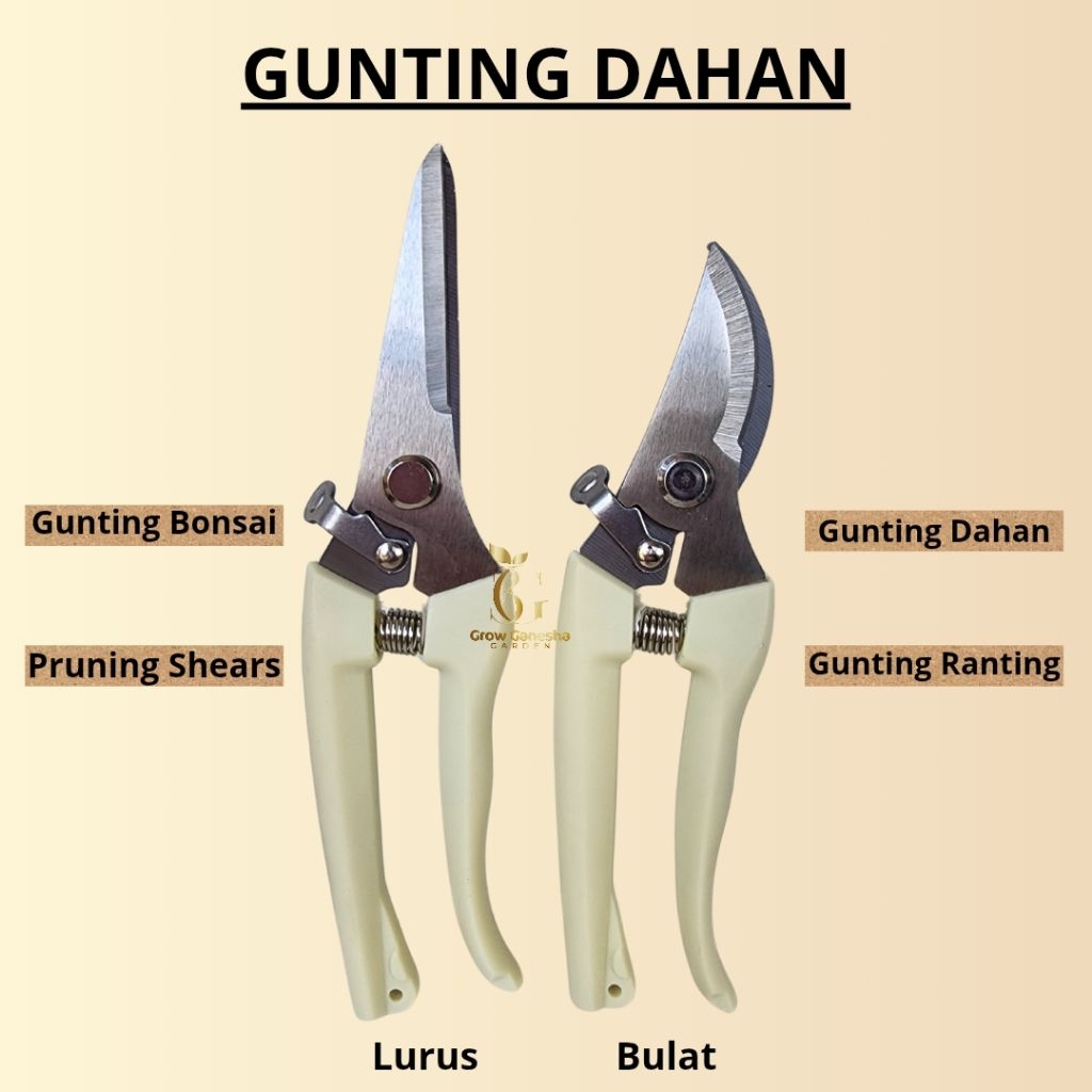 GUNTING DAHAN/RANTING/BONSAI
