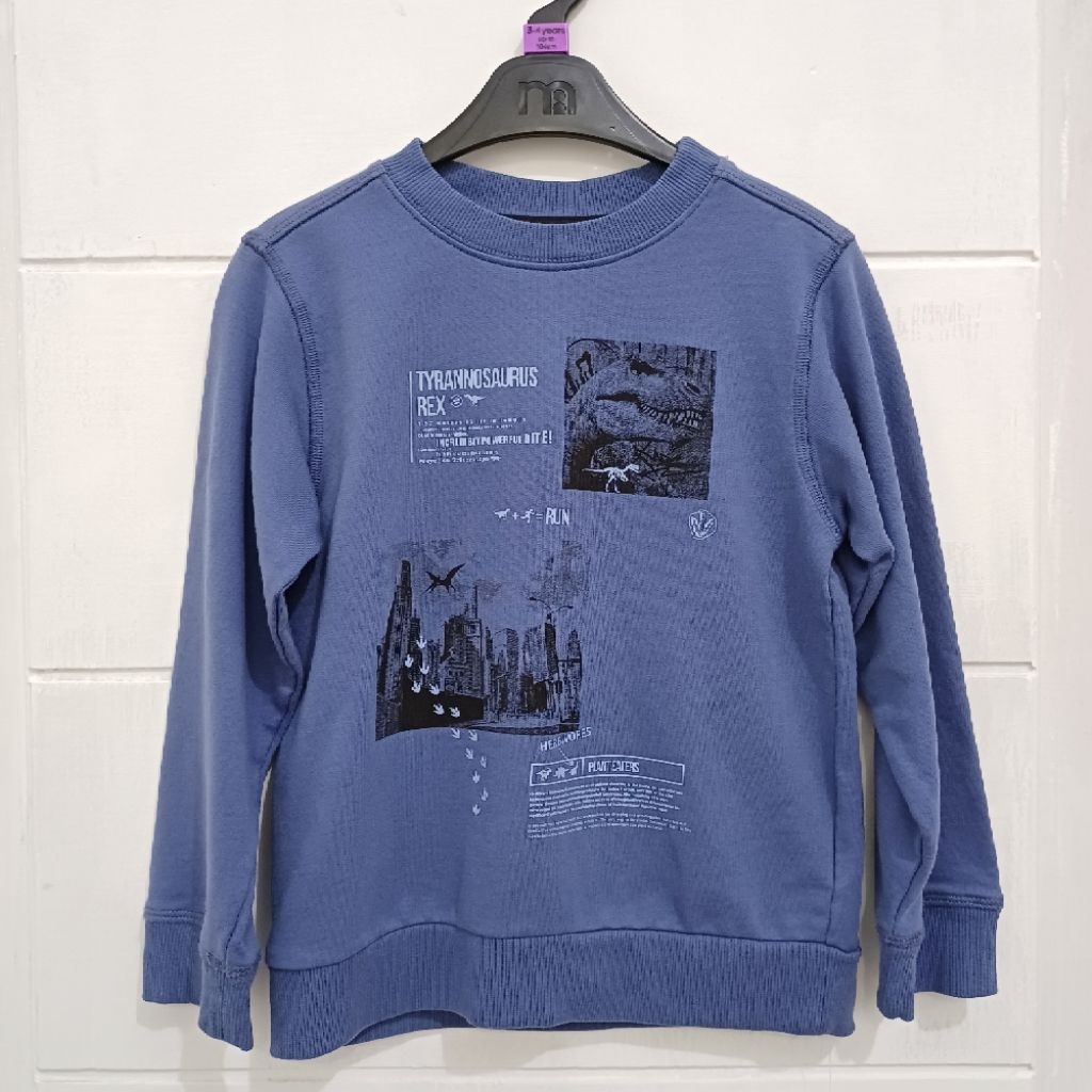 MOTHERCARE Sweater Dinosaur Sweat Top - Sweater Anak