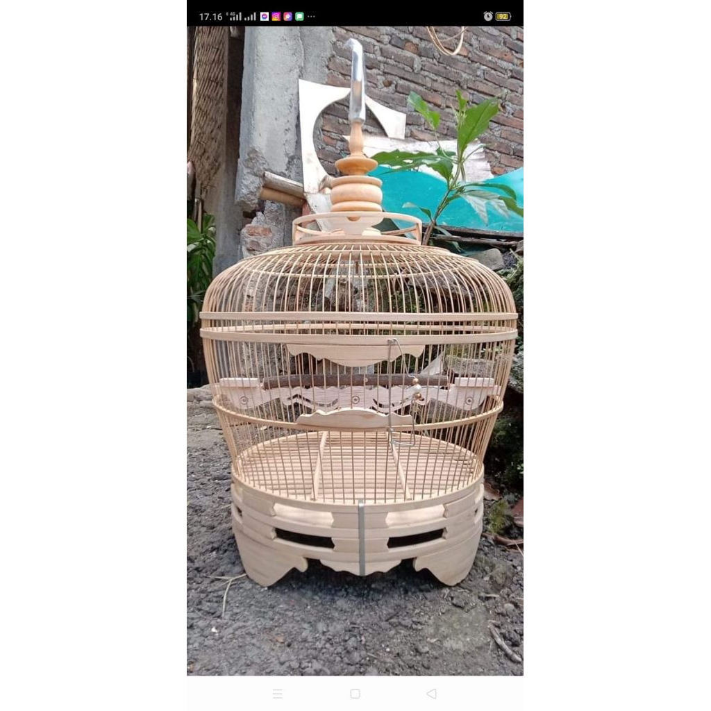 SANGKAR PUTER PELUNG