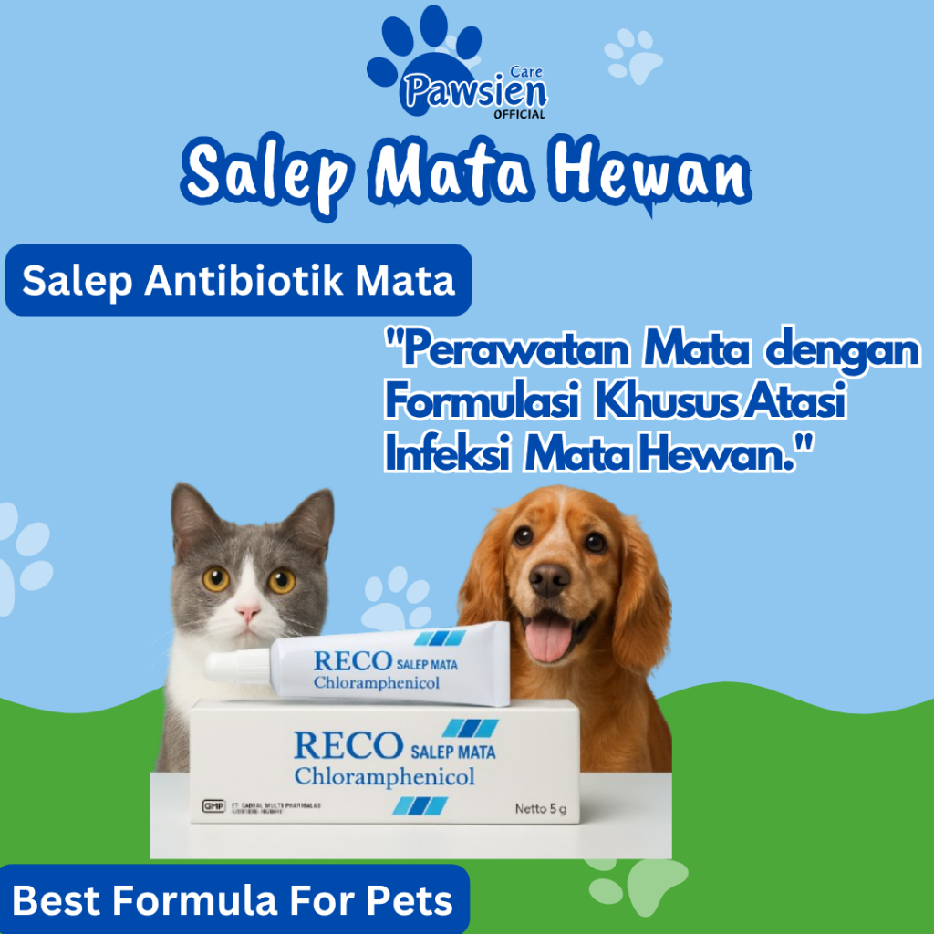 Salep Mata Kucing & Anjing Clamidia | Obat Infeksi Mata Anabul | Atasi Belekan, Bengkak & Merah