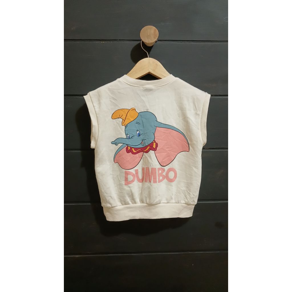 pl vest disney