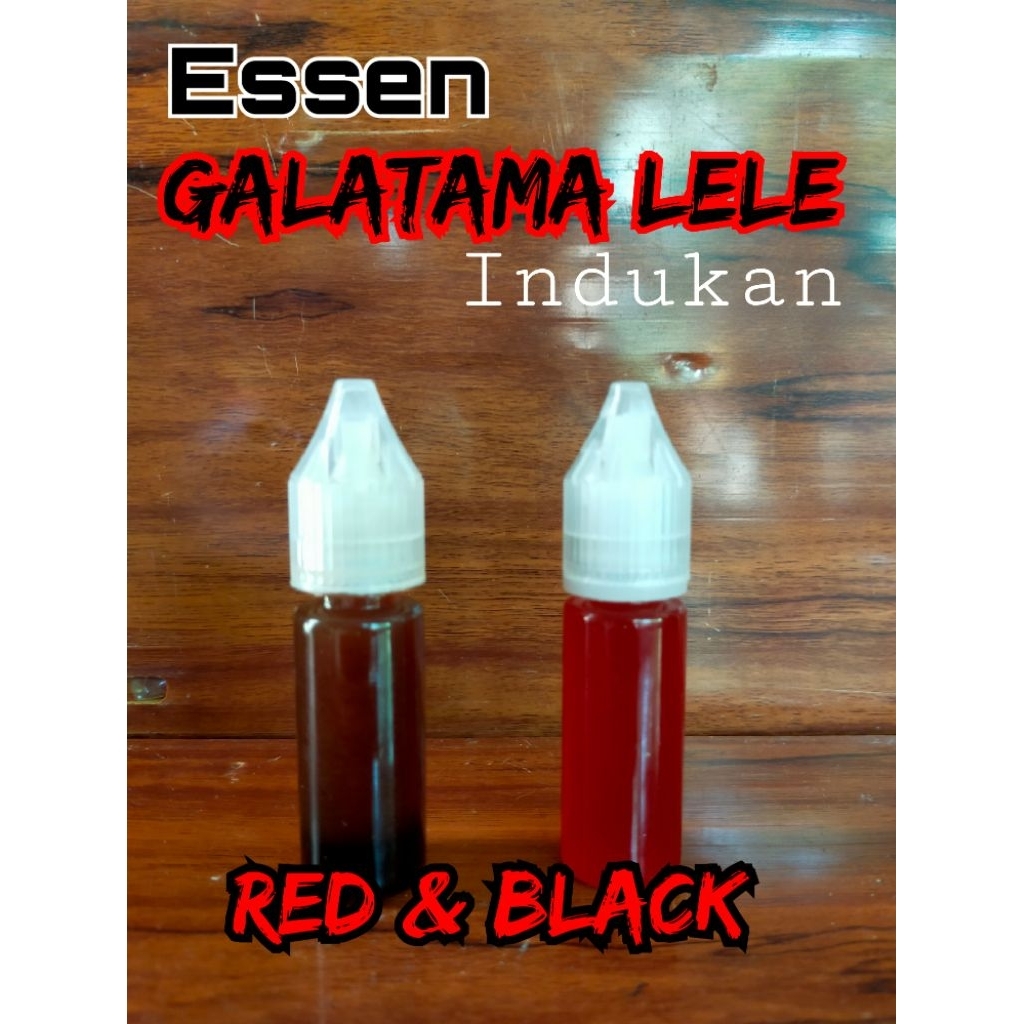 essen galatama lele indukan umpan lele gacor umpan lele amis gurih essen lele