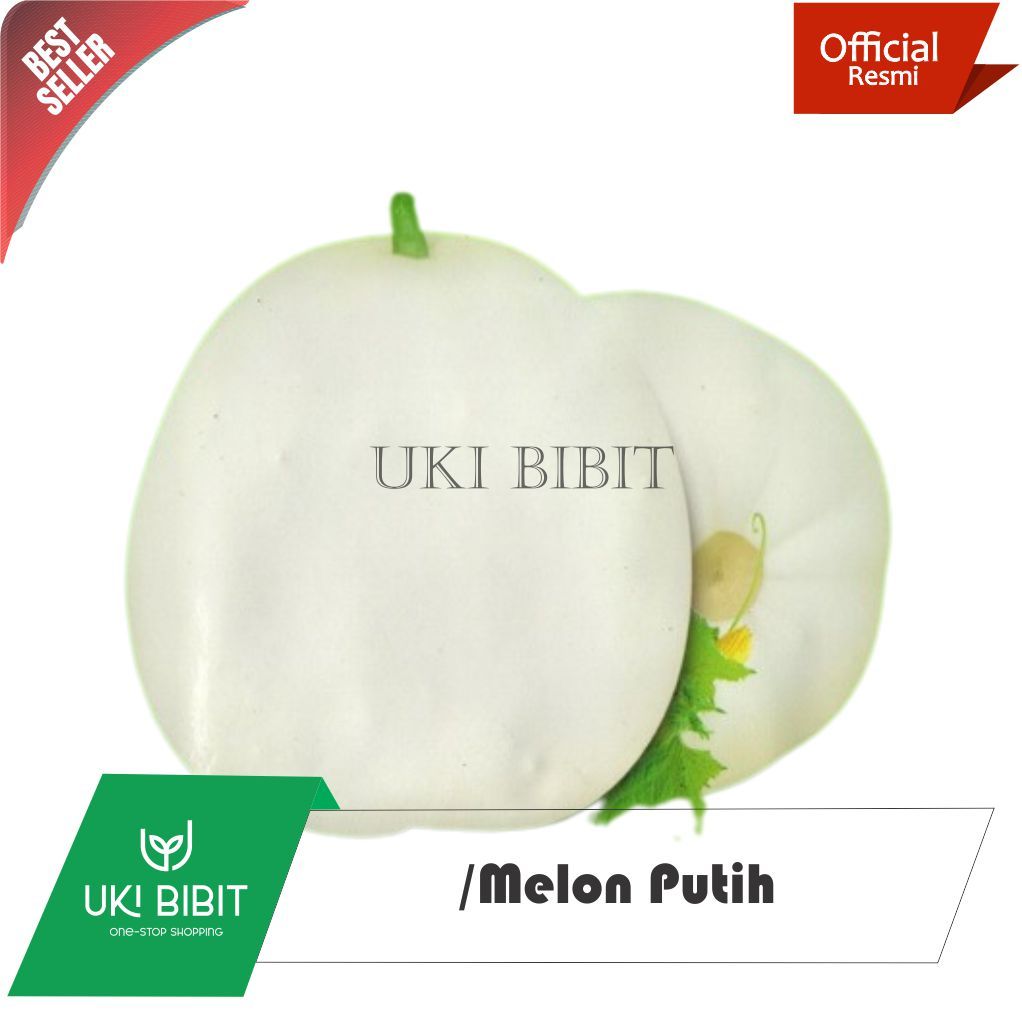 ( 5 Butir ) Benih Biji Melon Putih | Honeydew
