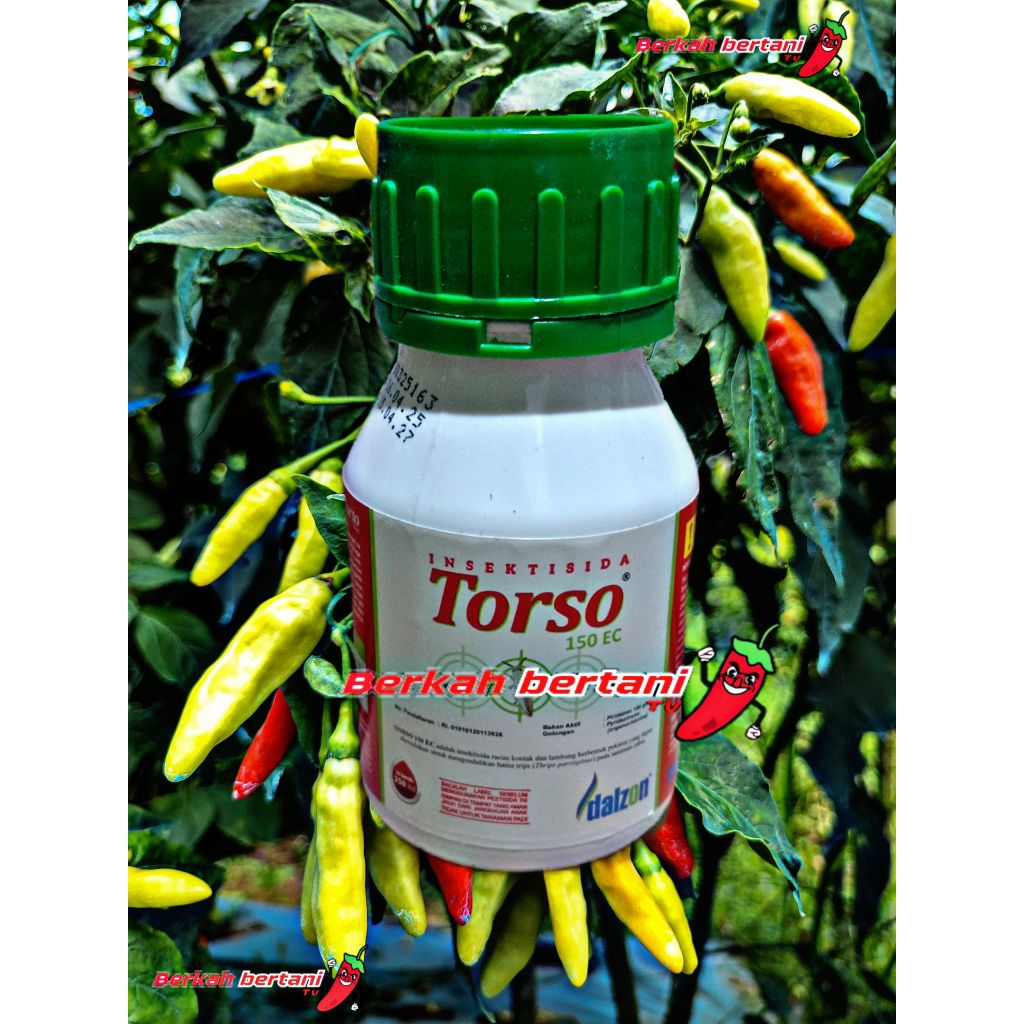 AKARISIDA DAN INSEKTIDA TORSO 100ML