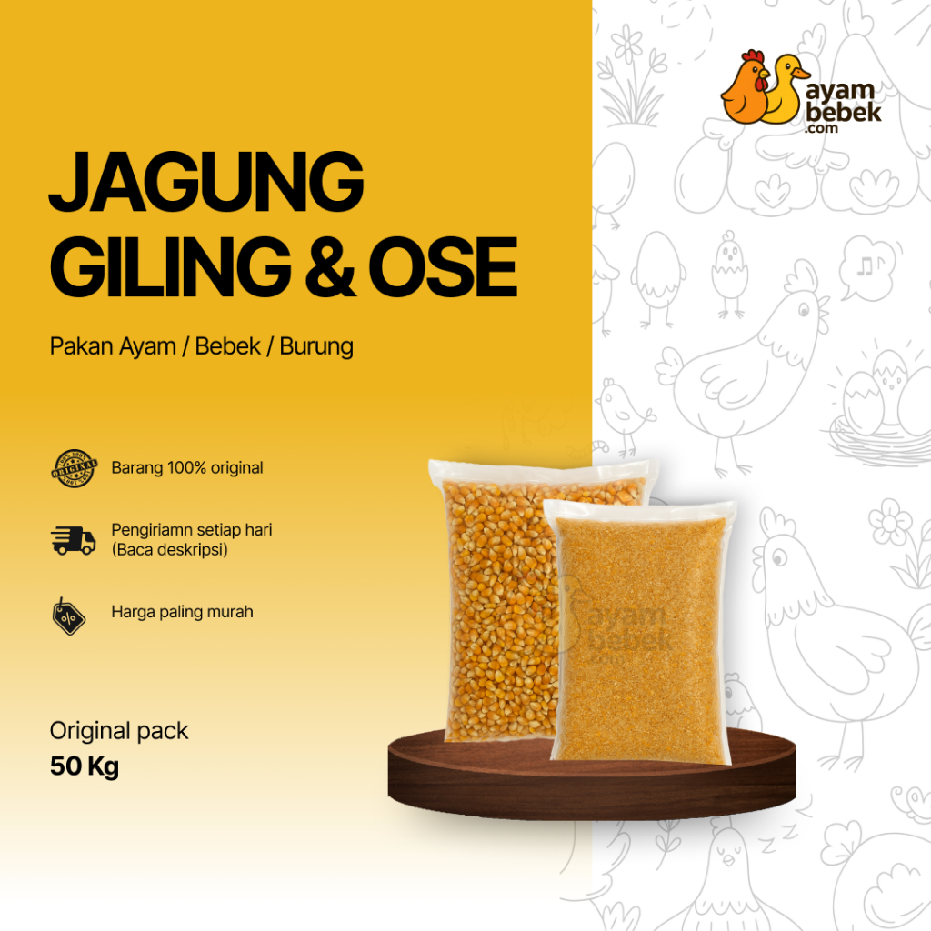 Jagung Giling dan Jagung Ose - Pakan Ayam/Bebek/Burung | 20KG-50 KG | AyamBebek.com