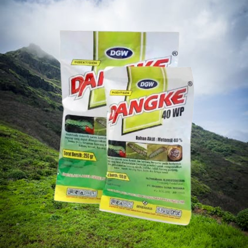 Insektisida Dangke 40 WP kemasan 250 gram / dangke