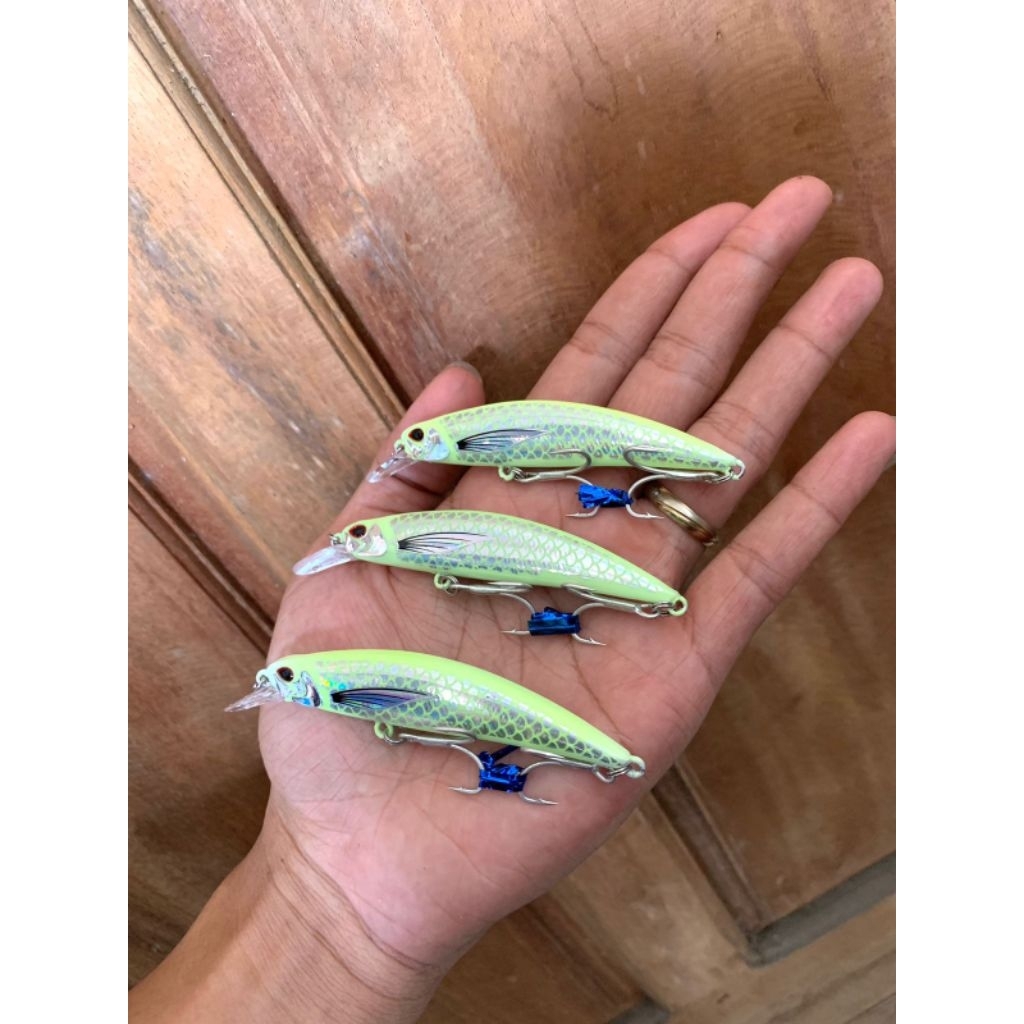 Umpan Minnow Gid 10cm