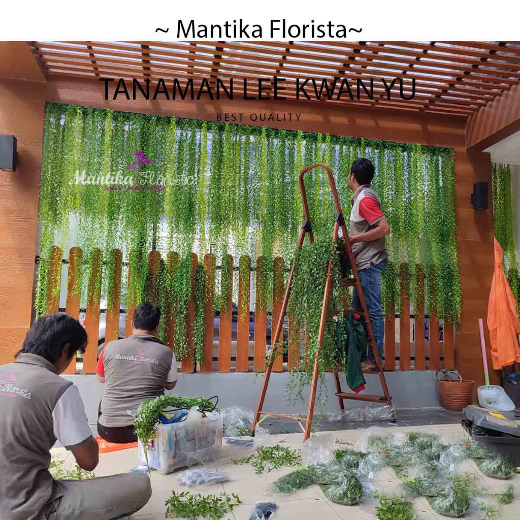 Tanaman Plastik Artifisial Tanaman Hias juntai Lee Kwan Yew Artificial Warna Hijau Tua | Li kwan yu 