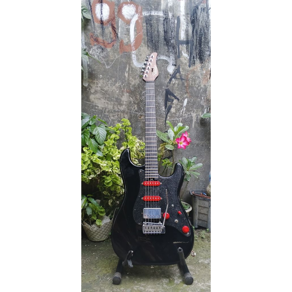 SCHECTER NICK JOHNSTON (Original)