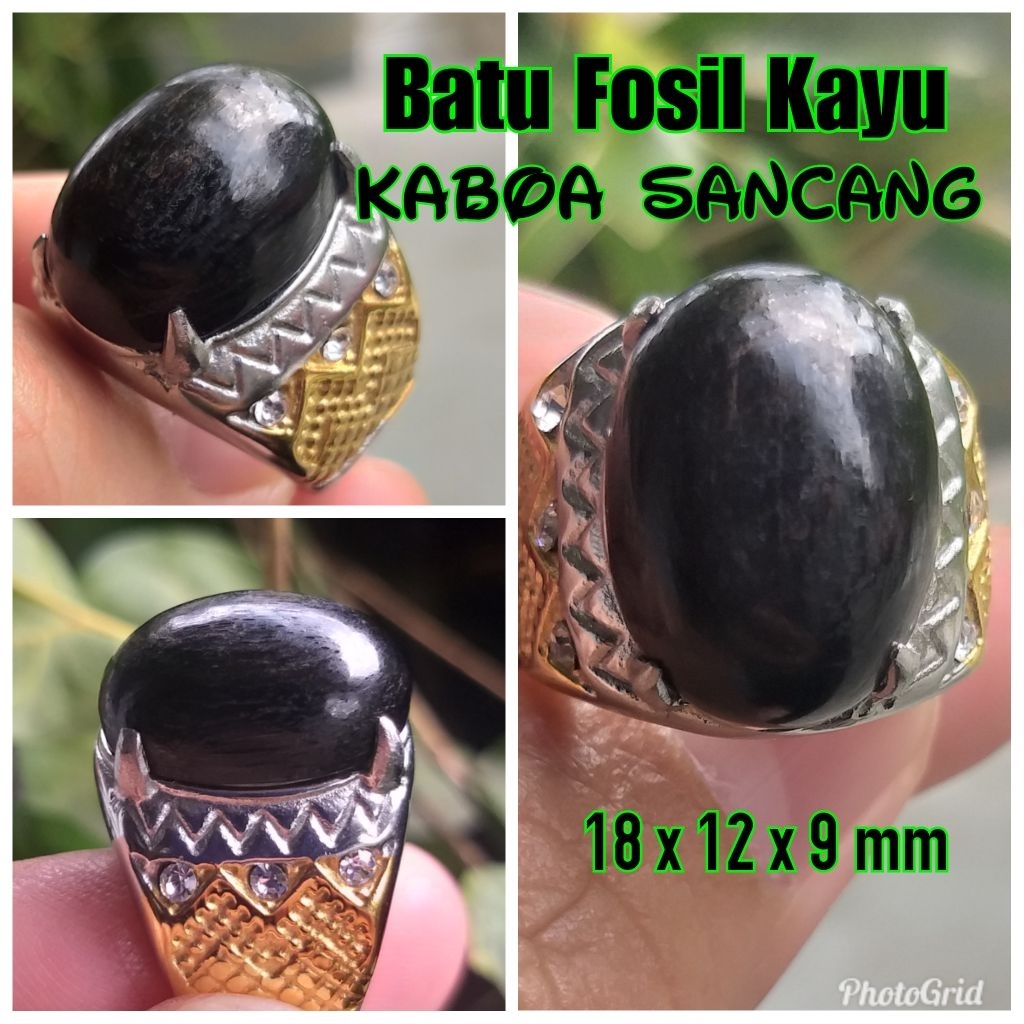 batu fosil kayu kaboa sancang asli istimewa