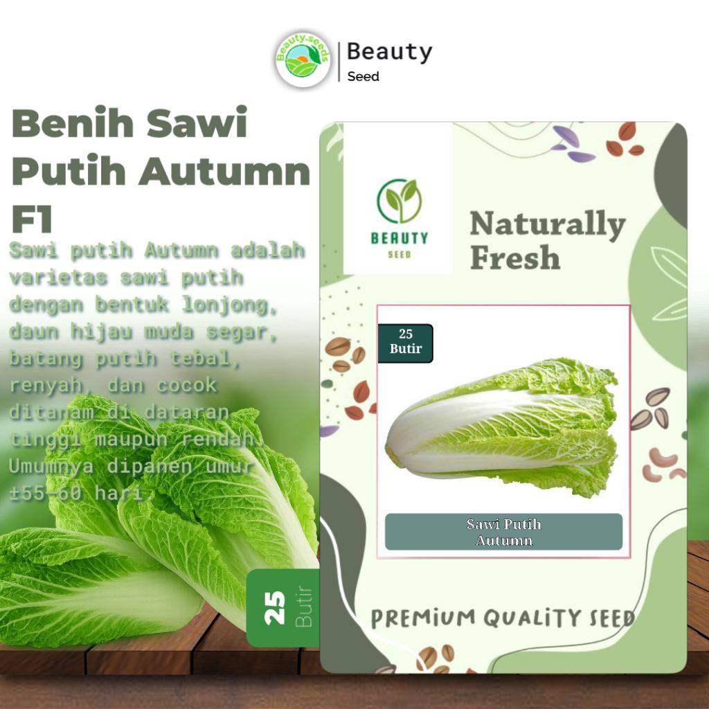 25 Benih Sawi Putih Autumn Sun F1 Dataran Rendah Sayur Slobor Unggul
