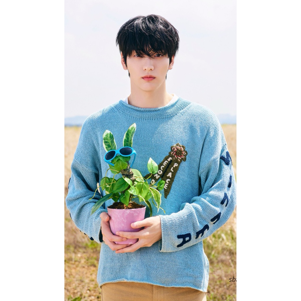 Album txt
