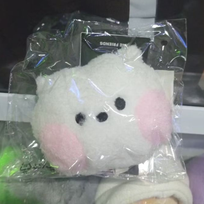 OFFICIAL MIRROR BT21 RJ