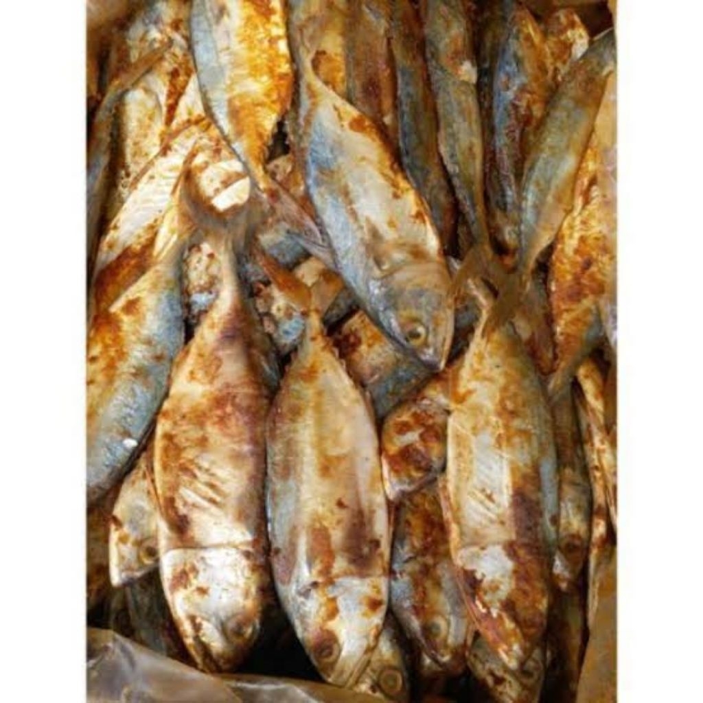 IKAN ASIN GEMBUNG FRESH