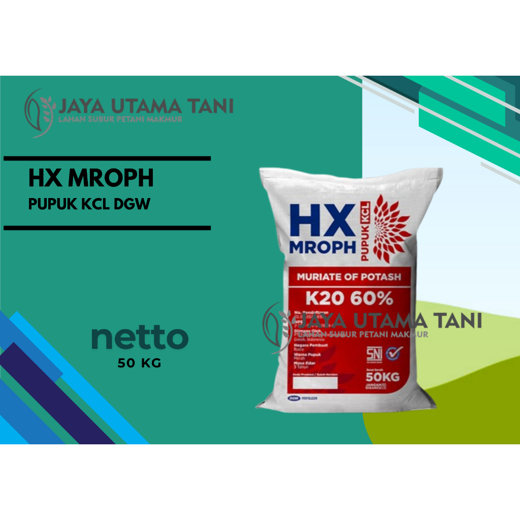 Pupuk KCL HX MROPH DGW 60% kemasan 50 Kg