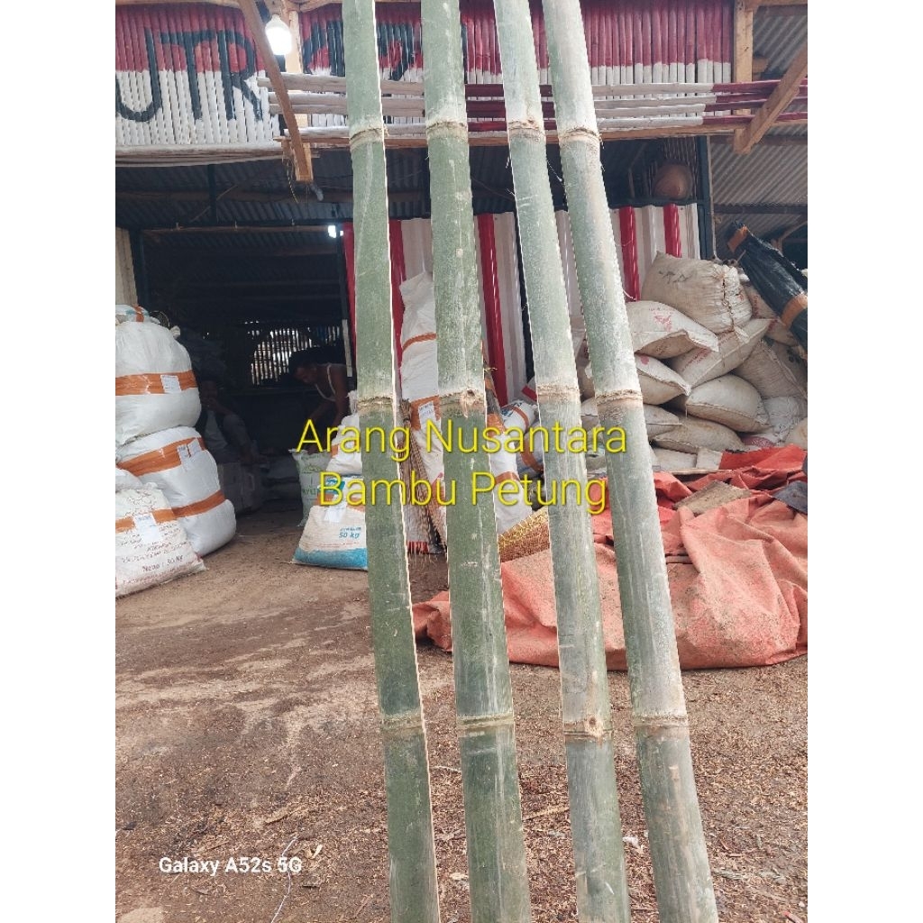 Bambu Petung Bahan Arku Layangan 3m Belahan