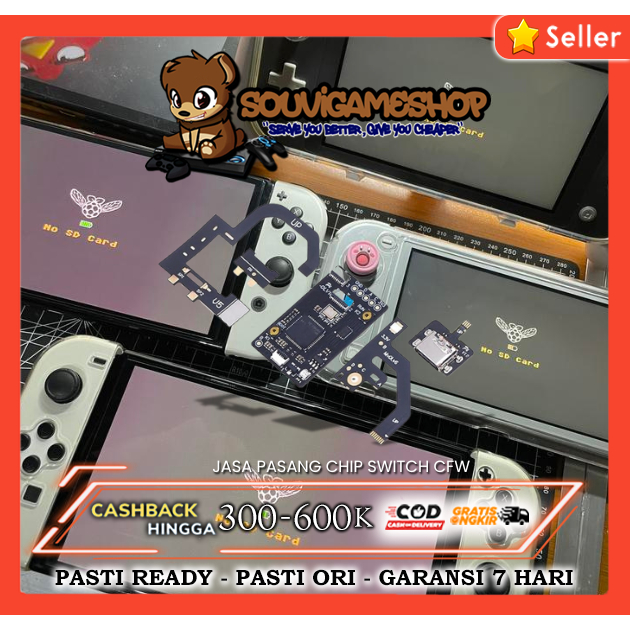 Jasa Pasang IC CFW Chip Pico Fly IC Nintendo Switch V1 V2 Lite Oled