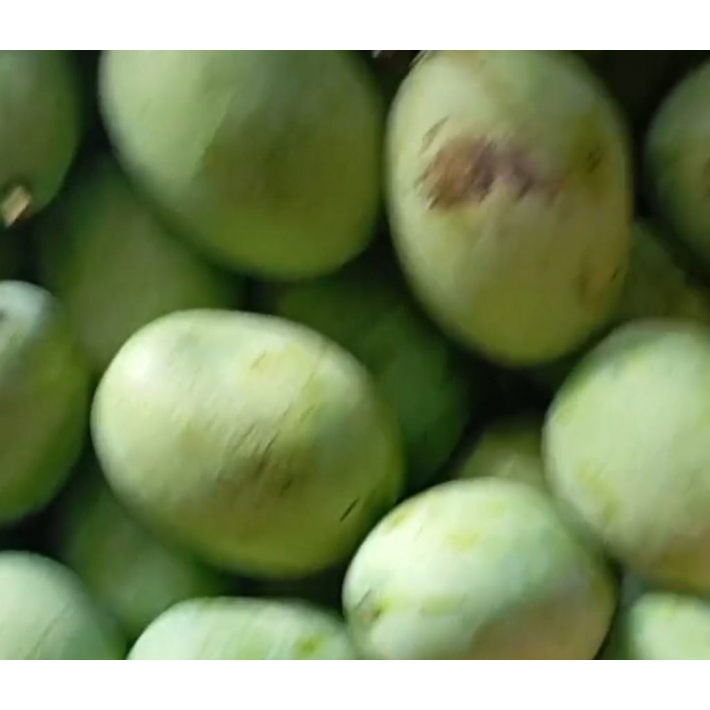 mangga madu manalagi