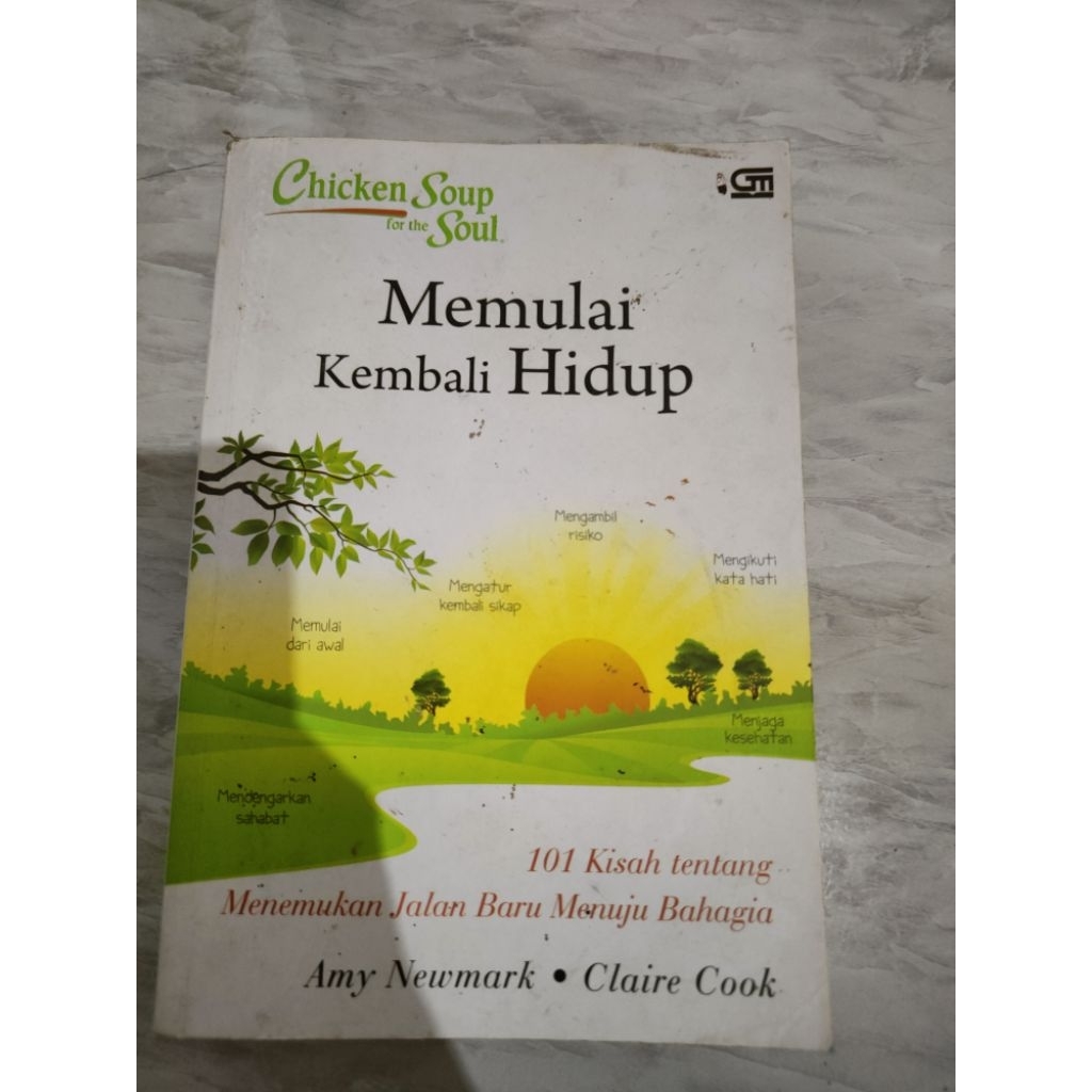 chicken soup for the soul