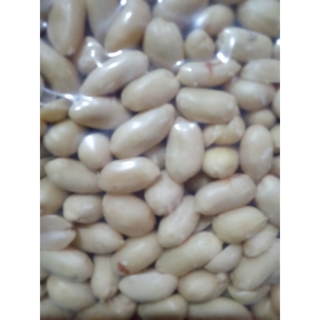 kacang tanah 25/29  jumbo kacang kupas