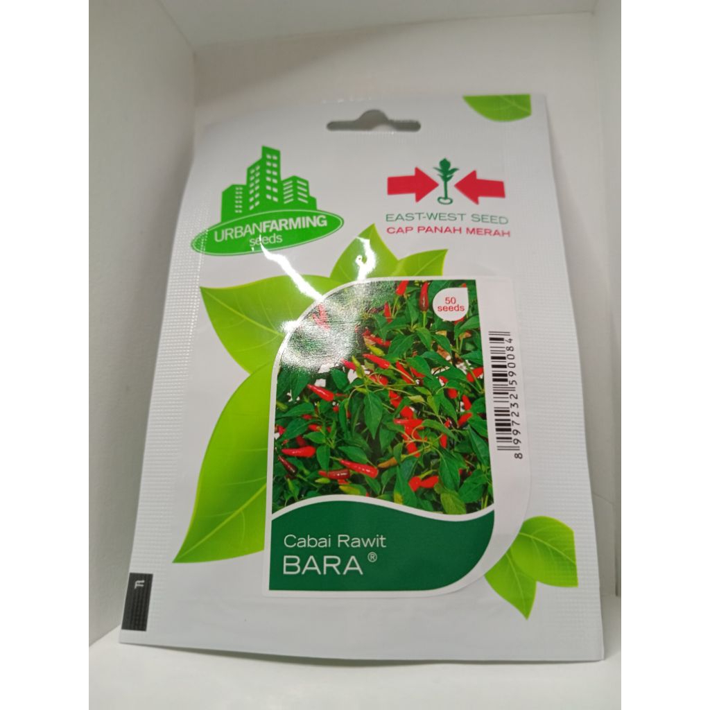 BIBIT BENIH PANAH MERAH-CABE RAWIT BARA