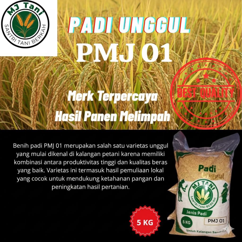 Bibit padi unggul PMJ 01 5kg