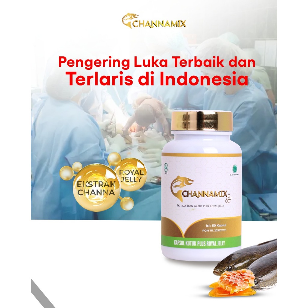 Channamix Kapsul Pengering Luka - Kapsul Ikan gabus