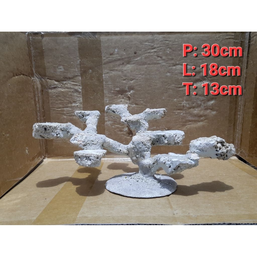 Scaping reeftank Deadrock