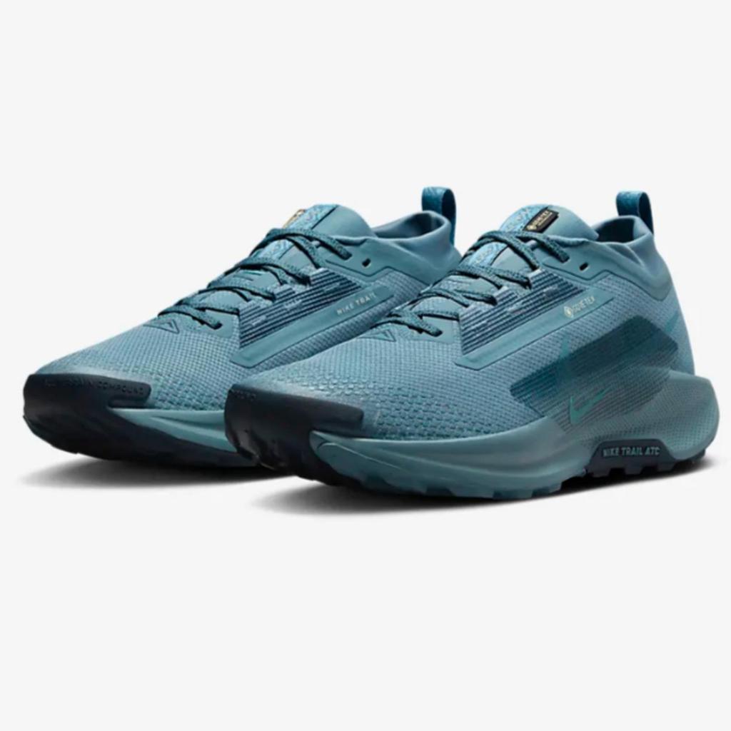NIKE PEGASUS TRAIL 5 GORE-TEX SMOKY BLUE FQ0908-005